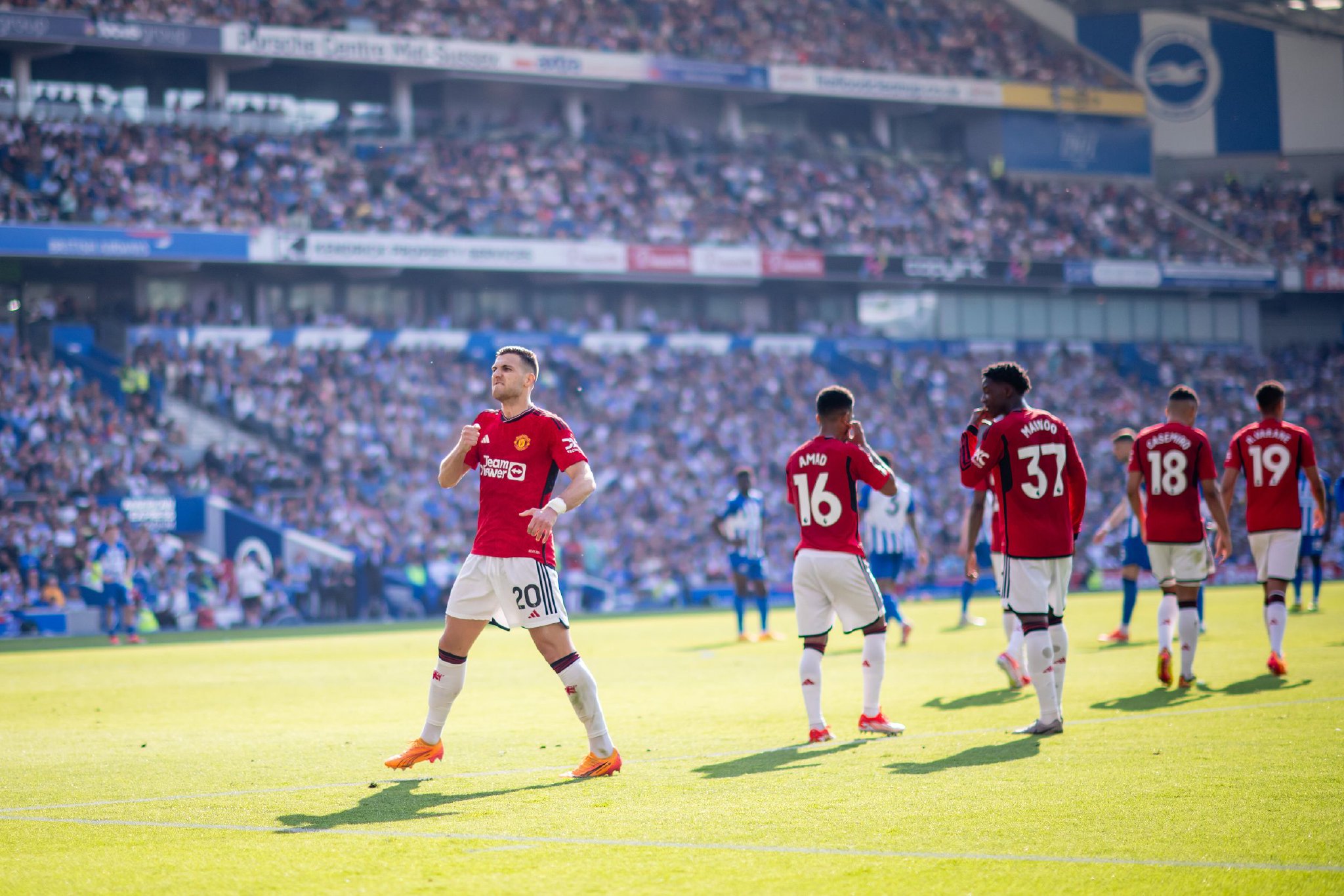 不仅显示了 不仅显示了