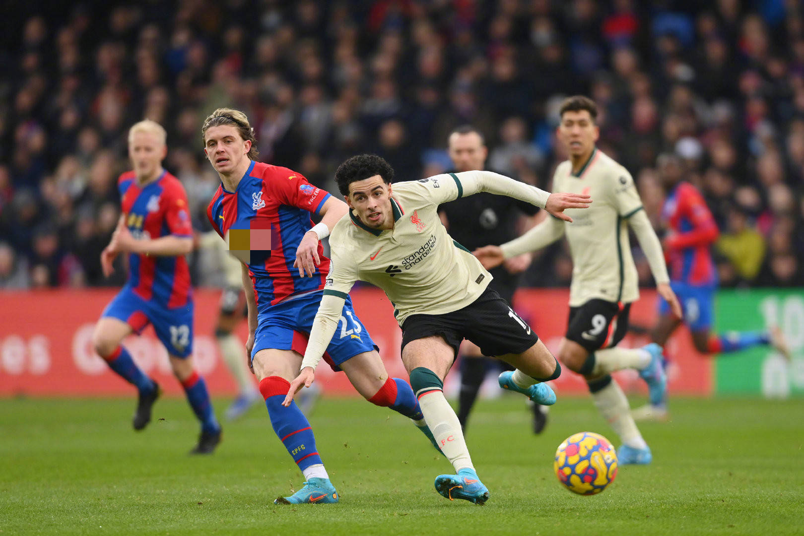 戴格诺特的 戴格诺特的